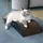 D&D Kratzwelle aus Pappe I Love Happy Cats "Archie" braun/schwarz - Braun/Schwarz