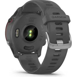 Garmin Forerunner 255 46 mm schiefergrau/schwarz