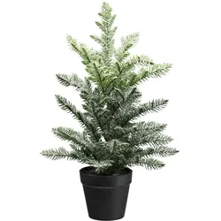 Creativ green Winterliche Kunstpflanze »Araucarie«, mit Frost-Optik Creativ green grün