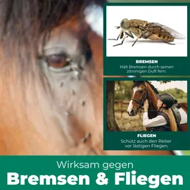 Silberkraft Bremsen-Spray für Pferde 2 x 500 ml