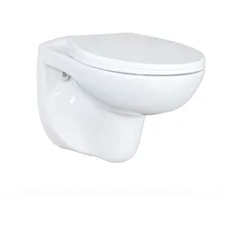 Spülrandlos WC Hänge Wand-WC Tiefspüler Toilette Softclose Deckel WC Sitz