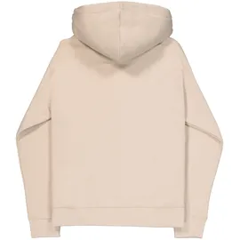 Alpha Industries Basic Hoodie beige XL