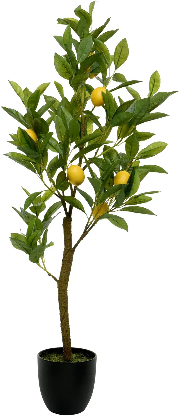 Zitronenbaum 92cm im Topf Kunststofftopf  - grün/gelb