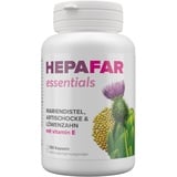 Leber kur – 120 Hochdosierte Mariendistel Kapseln für 120 Tage – Leber Komplex – Mariendistel, Artischocke, Löwenzahn, Vitamin E – 80% Silymarin – Sensilab Hepafar