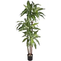 aplanta Künstlicher Drachenbaum - Nico | cm