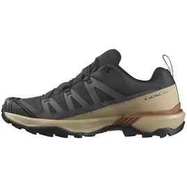 Salomon X Ultra 360 GTX Herren Phantom / Safari / Caramel Cafe 46 2/3