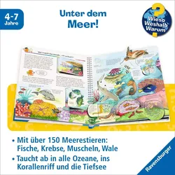 Wir entdecken Meerestiere