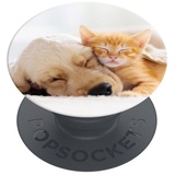 PopSockets PopGrip Basic Cat & Dog (70082)