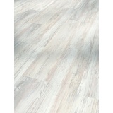 PARADOR Vinylboden Basic 4.3 Pinie weiß Holzoptik Bodenbelag Fußboden PVC Click