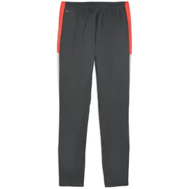 Puma IndividualLIGA Trainingshose