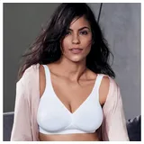 Rosa Faia BH Twin (5493)