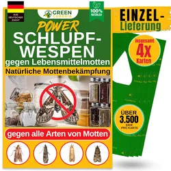 Green Guardia Schlupfwespen gegen Lebensmittelmotten 4 Karten - Effektiv Motten bekämpfen / Bio- Mittel gegen Motten, Alternative zu Chemischen Mottenfalle