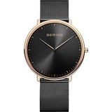 BERING 15739-166