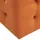 Beliani Hocker mit Stauraum Samt 0 x 0 x 0 cm Orange