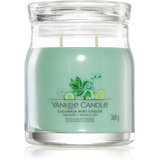 Yankee Candle Cucumber Mint Cooler Wachskerze Zylinder Gurke, Zitrone, Minze Grün 1 Stück(e)