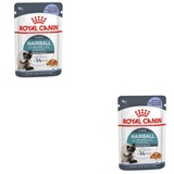 Royal Canin Hairball Care in Gelee Katzen-Nassfutter 85 g) 2 Kartons (24 x 85 g)