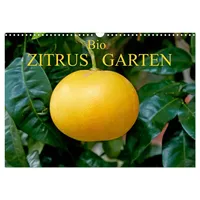 Calvendo Bio Zitrus Garten (Wandkalender 2026 DIN A3 quer),