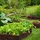 urfence Beeteinfassung Weide 100 x 30 cm 1 Stück braun