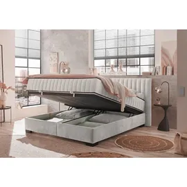 ed lifestyle Boxbett NAGOL