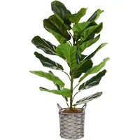 Beliani Kunstpflanze FIDDLE LEAF TREE 72 cm Grün