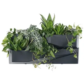 Prosperplast Cascade Garden 78 x 19 x 35 cm Anthrazit