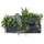 Prosperplast Cascade Garden 78 x 19 x 35 cm Anthrazit