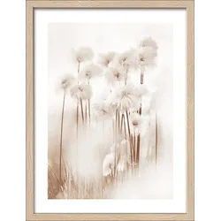 Gerahmtes Bild DRIED FIBER VII - bunt