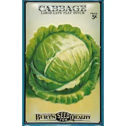 Blechschild „Cabbage“