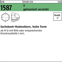 F. REYHER Nchfg. GmbH & Co. KG Sechskanthutmutter DIN 1587 M4 100 Stück