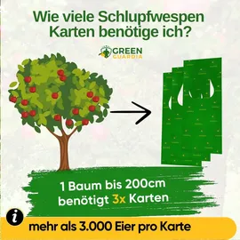 green guardia Schlupfwespen gegen Apfelwickler Pheromonfalle 6 Karten