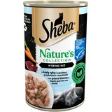 Sheba 400 g Nature's Collection - Nasses Alleinfuttermittel für ausgewachsene Katzen, mit Weißfisch und Leber mit Karottenaufstrich, in Terin