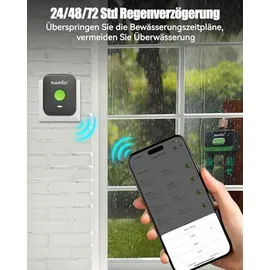 RAINPOINT Bewässerungscomputer 2 Ausgänge schwarz