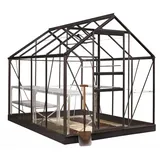 Halls Gewächshaus Popular Schwarz 5 m2