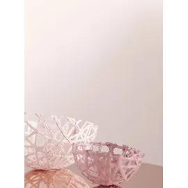 Alpina Feine Farben 2,5 l No. 24 zarte romantik