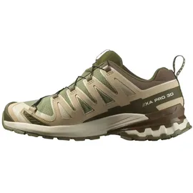 Salomon XA Pro 3D V9 GTX Herren Deep Lichen Green/Safari/Dark Earth 43 1/3