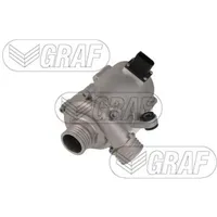 Graf Wasserpumpe PA1400