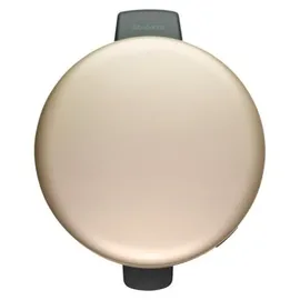 Brabantia Newicon 30 l metallic gold