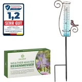 DAAS24 Regenmesser - Regenmesser für Garten – Frostsicheres Glas - Niederschlagsmesser- Flexibel platzierbar - Gartendeko