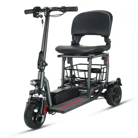 eneway Muvy 3-Rad EMobil 6 km/h Elektromobil mit Lithium-Akku