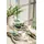 Villeroy & Boch Kaffeetasse 0,25 l Beige 6 St.