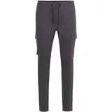 11 Project Cargohose PRGarik Sportive Grau L