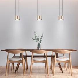 Bankamp Impulse Pendelleuchte, LED 3-flammig, 2223/3-74,