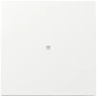 Gira Wippe Kontrollf. 329070 KF FL RW