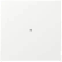 Gira Wippe Kontrollf. 329070 KF FL RW