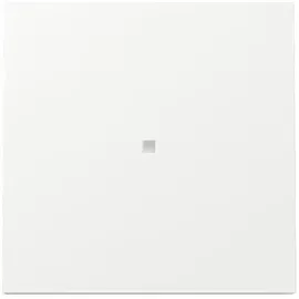 Gira Wippe Kontrollf. 329070 KF FL RW