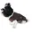 für Hunde 27 St