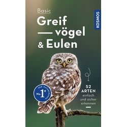 Basic Greifvögel und Eulen