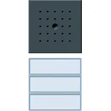 Gira Türstation UP 3fach 126167 anthrazit