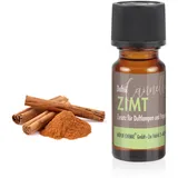 Höfer Chemie Duftöl Zimt 10 ml