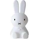 Mr Maria Miffy XL